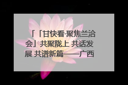 「甘快看·聚焦兰洽会」共聚陇上 共话发展 共谱新篇——广西贵州重点企业“请进来”招商推介会扫描
