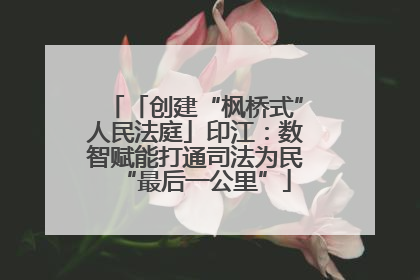 「创建“枫桥式”人民法庭」印江：数智赋能打通司法为民“最后一公里”