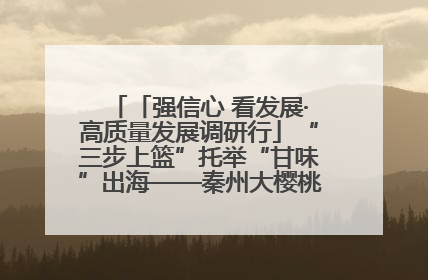 「强信心 看发展·高质量发展调研行」“三步上篮”托举“甘味”出海——秦州大樱桃高质量发展动作分解
