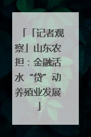 「记者观察」山东农担：金融活水“贷”动养殖业发展