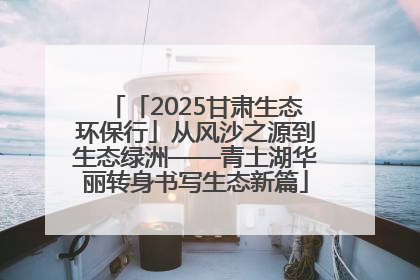 「2025甘肃生态环保行」从风沙之源到生态绿洲——青土湖华丽转身书写生态新篇