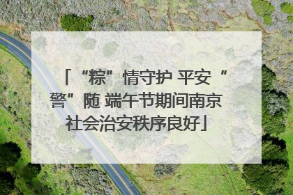 “粽”情守护 平安“警”随 端午节期间南京社会治安秩序良好