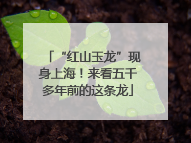 “红山玉龙”现身上海！来看五千多年前的这条龙