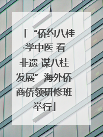 “侨约八桂·学中医 看非遗 谋八桂发展”海外侨商侨领研修班举行