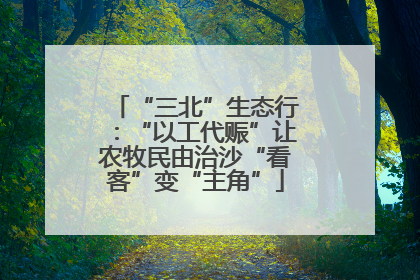 “三北”生态行：“以工代赈”让农牧民由治沙“看客”变“主角”