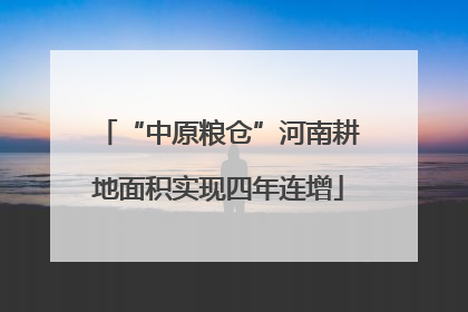 “中原粮仓”河南耕地面积实现四年连增