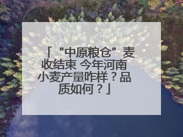 “中原粮仓”麦收结束 今年河南小麦产量咋样？品质如何？