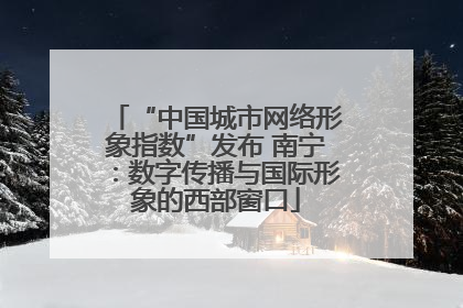 “中国城市网络形象指数”发布 南宁：数字传播与国际形象的西部窗口