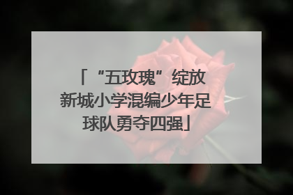 “五玫瑰”绽放 新城小学混编少年足球队勇夺四强