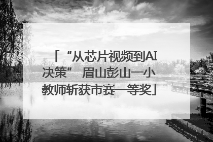 “从芯片视频到AI决策” 眉山彭山一小教师斩获市赛一等奖