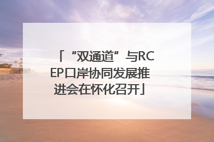 “双通道”与RCEP口岸协同发展推进会在怀化召开