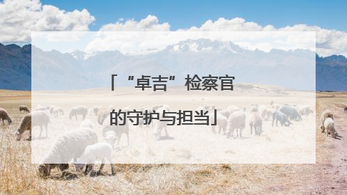 “卓吉”检察官的守护与担当
