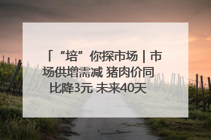 “培”你探市场｜市场供增需减 猪肉价同比降3元 未来40天便宜猪肉敞开吃