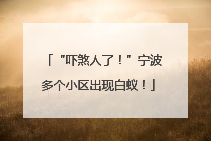 “吓煞人了！”宁波多个小区出现白蚁！