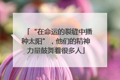 “在命运的裂缝中播种太阳”，他们的精神力量鼓舞着很多人