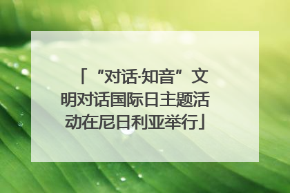 “对话·知音”文明对话国际日主题活动在尼日利亚举行