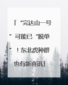 “完达山一号”可能已“脱单”！东北虎种群也有新喜讯