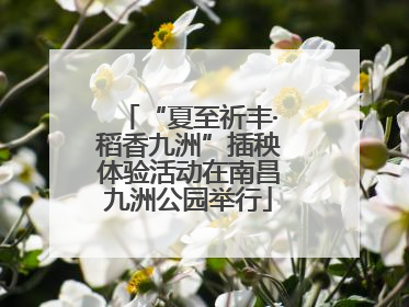 “夏至祈丰·稻香九洲”插秧体验活动在南昌九洲公园举行
