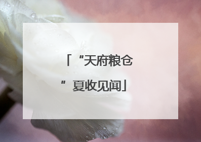 “天府粮仓”夏收见闻