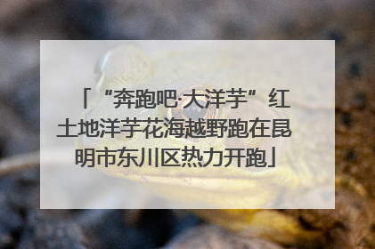 “奔跑吧·大洋芋”红土地洋芋花海越野跑在昆明市东川区热力开跑