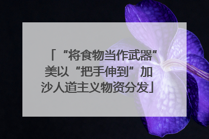 “将食物当作武器” 美以“把手伸到”加沙人道主义物资分发