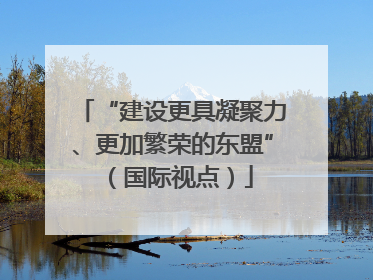 “建设更具凝聚力、更加繁荣的东盟”（国际视点）