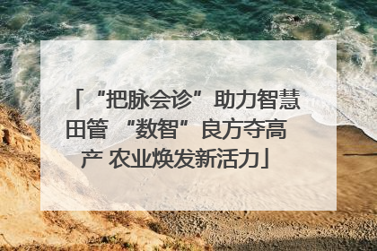 “把脉会诊”助力智慧田管 “数智”良方夺高产 农业焕发新活力