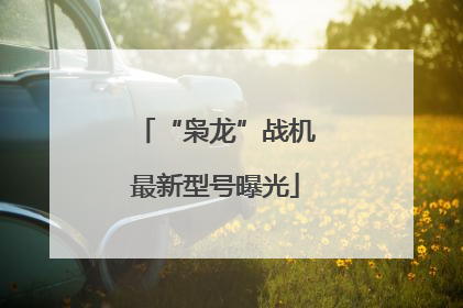 “枭龙”战机最新型号曝光