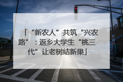 “新农人”共筑“兴农路”：返乡大学生“桃三代”让老树结新果