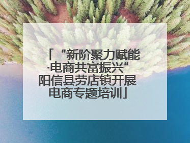 “新阶聚力赋能·电商共富振兴”阳信县劳店镇开展电商专题培训