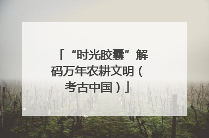 “时光胶囊”解码万年农耕文明（考古中国）