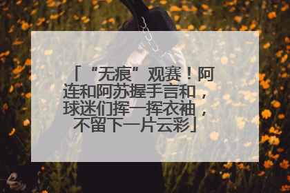 “无痕”观赛！阿连和阿苏握手言和，球迷们挥一挥衣袖，不留下一片云彩