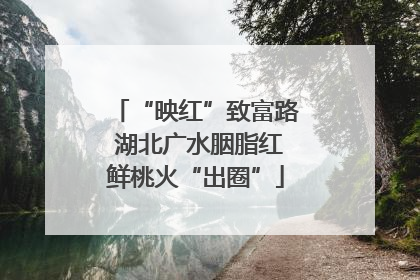 “映红”致富路 湖北广水胭脂红鲜桃火“出圈”