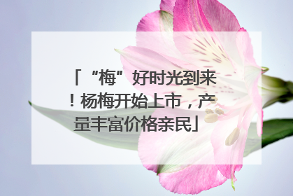 “梅”好时光到来！杨梅开始上市，产量丰富价格亲民