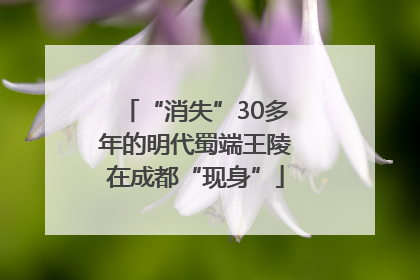 “消失”30多年的明代蜀端王陵在成都“现身”