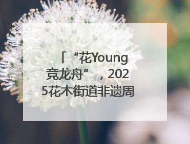 “花Young竞龙舟”，2025花木街道非遗周系列活动举行
