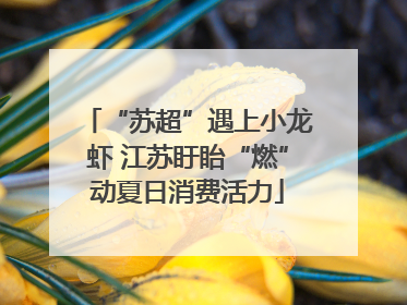 “苏超”遇上小龙虾 江苏盱眙“燃”动夏日消费活力