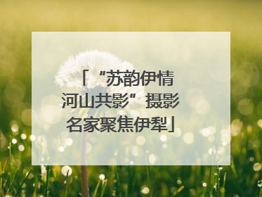 “苏韵伊情 河山共影”摄影名家聚焦伊犁