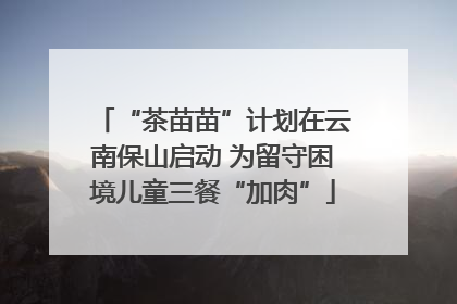 “茶苗苗”计划在云南保山启动 为留守困境儿童三餐“加肉”