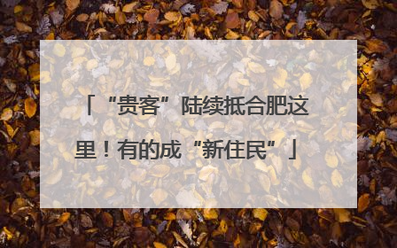 “贵客”陆续抵合肥这里！有的成“新住民”