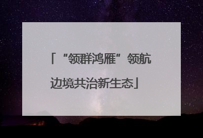 “领群鸿雁”领航边境共治新生态