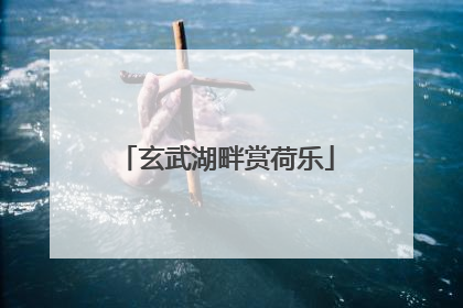 玄武湖畔赏荷乐
