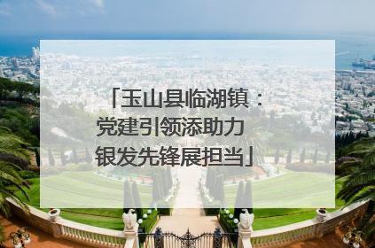 玉山县临湖镇：党建引领添助力 银发先锋展担当
