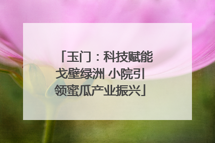 玉门：科技赋能戈壁绿洲 小院引领蜜瓜产业振兴