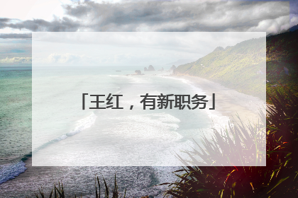 王红，有新职务