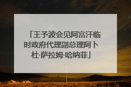王予波会见阿富汗临时政府代理副总理阿卜杜·萨拉姆·哈纳菲