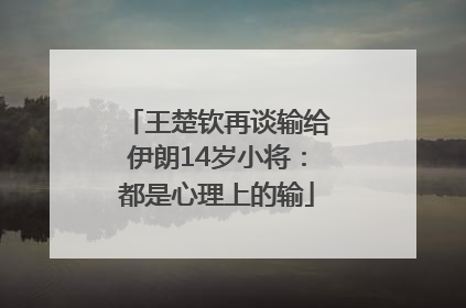 王楚钦再谈输给伊朗14岁小将：都是心理上的输