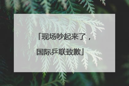 现场吵起来了，国际乒联致歉