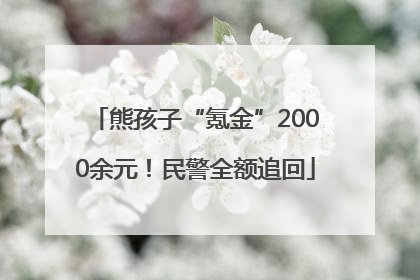 熊孩子“氪金”2000余元！民警全额追回