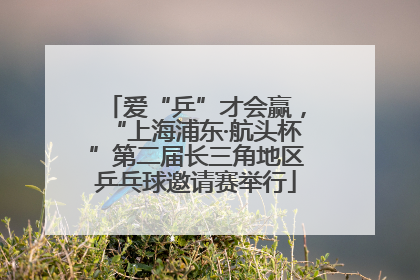 爱“乒”才会赢，“上海浦东·航头杯”第二届长三角地区乒乓球邀请赛举行